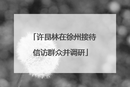 许昆林在徐州接待信访群众并调研